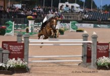 Emanuel Andrade culminó tercero en el $130,000 Wellington Equestrian Realty Grand Prix CSI 3* .