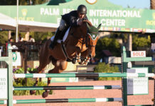 Kevin Babington da un perfecto inicio para Irlanda en el Winter Equestrian Festival 2017.