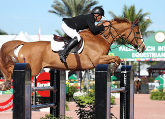 Todd Minikus sin enemigos gana el FEI $35,000 1.45m en Wellington.