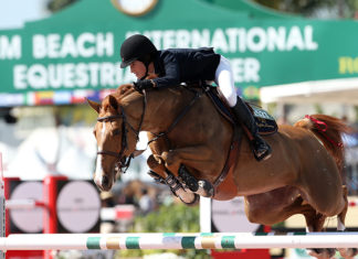 Jessica Springsteen pulveriza el $35,000 Douglas Elliman 1.45m del WEF 5.