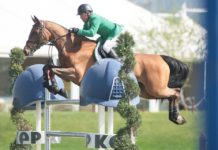 Gianni Govoni mandó en la doble fase del €24,600 Gold Tour en Arezzo.