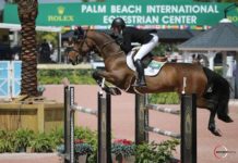 Tiffany Foster y Victor ganan el $86,000 Suncast 1.50m Championship Jumper Classic.