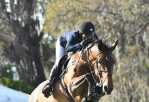 Jessica Springsteen gana el $35,000 Hollow Creek Farm en Ocala.