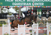 Beat Mändli y Simba se llevan el $50,000 Engel & Völkers Grand Prix CSI 2*.
