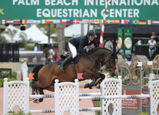 Beat Mändli y Simba se llevan el $50,000 Engel & Völkers Grand Prix CSI 2*.