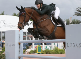 Shane Sweetnam comanda rebelión irlandesa en el $216,000 Grand Prix CSIO 4* WEF 8.