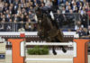 Julien Epaillard perfecto en el CSI 5* Saut Hermès Au Grand Palais.