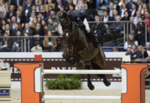 Julien Epaillard perfecto en el CSI 5* Saut Hermès Au Grand Palais.