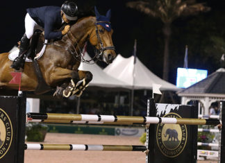 Samuel Parot cierra en grande con el último Gran Premio del Winter Equestrian Festival.
