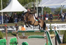 Irlanda añade otra Copa de Naciones en Drammen para su cuenta.