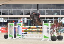 Emanuele Gaudiano suma tercera victoria en el CSI 4* Horses&Dreams de Hagen.