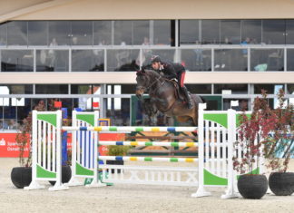 Emanuele Gaudiano suma tercera victoria en el CSI 4* Horses&Dreams de Hagen.