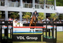 Michael Greeve profeta en casa al ganar el €62,400 VDL Groep Grand Prix of Eindhoven.