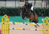 Shane Sweetnam y Cyklon 1083 repiten al ganar el $35,000 Tryon 1.50 Challenge CSI4*.
