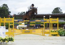 Aldrick Cheronnet se desquitó en el Trofeo Dachser.