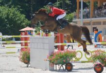 Pius Schwizer y Balou Rubin R veloces en el Liebherr AG.