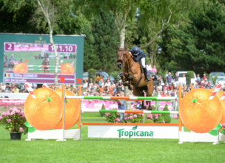 Wilm Vermeir y DM Jacqmotte dueños del Derby Tropicana.