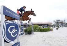 Hamburg Diamonds se afianza en el liderato del GCL.