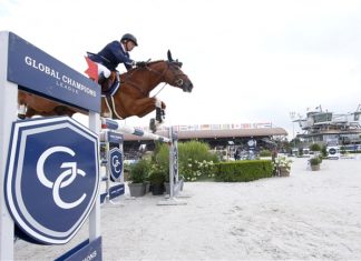 Hamburg Diamonds se afianza en el liderato del GCL.