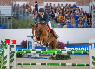 Simon Delestre imbatible en el €65.000 Prix SFAM.