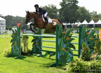 Andrew Ramsay veloz en el $35,000 Don Little Memorial Welcome Stake.