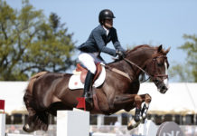 Pedro Veniss domina el 1M45 Qualifier Grand Prix del CSI3* Bonheiden.