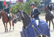 Dayro Arroyave inspirado en el CSI3* 1M45 Qualification GP de Bonheiden.