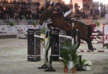 Jerome Hurel brilló en el €25.000 1.45 Pix Ecuriers du Loup Blanc.