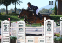 Nicola Philippaerts gana el $35,000 Horseware Ireland Jumper Stake CSI3*.
