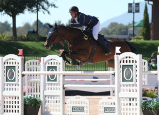 Nicola Philippaerts gana el $35,000 Horseware Ireland Jumper Stake CSI3*.