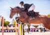 Patrice Delaveau domina la clase de velocidad del CSI3* Moorsele.