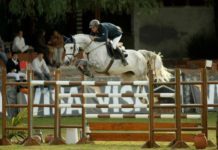 Alberto Sánchez-Cozar y Wupp vencen en el CSI2* Balvanera.