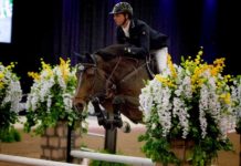 Ben Maher gana el $35,000 Blenheim Welcome Jumper Classic en Las Vegas.