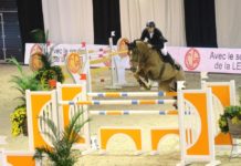 Christophe Vanderhasselt aseguró la primera victoria del CSI3* Liege.