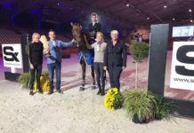 Dries Dekkers y D&J Havanna brillaron en el Prijs Stephex Horsetrucks.