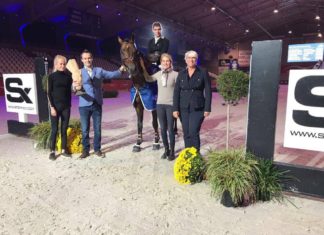 Dries Dekkers y D&J Havanna brillaron en el Prijs Stephex Horsetrucks.