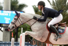 Eduardo Menezes vuela en el $35,000 Holiday & Horse Grand Prix en Wellington.