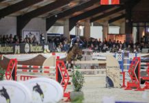 Maikel van der Vleuten carga con el €25.000 Parkhotel Horst Prix CSI2*.