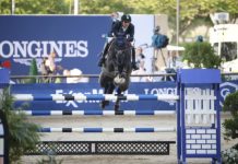 Marlon Módolo Zanotelli mandó en las Dos Fases de Doha.