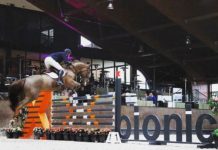 Marlon Módolo Zanotelli se creció en el Grand Prix X-Bionic Sphere.