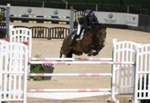 Paul O’Shea gana el $130,000 Greenville-Spartanburg International Airport Grand Prix.