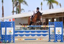 Pedro Veniss líder del Ranking Latino por quinto mes seguido.