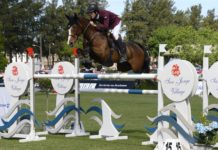 Santiago Orifici con su primera victoria FEI en el San Jorge Village CSI2*.