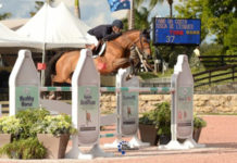 Fabio Da Costa impuso el ritmo del $25,000 Omega Alpha Grand Prix.