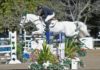 Arturo Parada domina la segunda clase FEI del CSI2* Guadalajara.