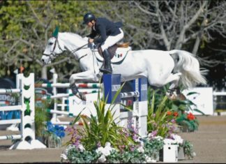 Arturo Parada domina la segunda clase FEI del CSI2* Guadalajara.
