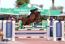 Eugenio Garza vuela en Wellington para ganar el $35,000 Bainbridge FEI 1.45m Classic