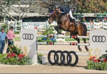 Juan Carlos Martín del Campo alzó la Audi Scappino Classic Cup.