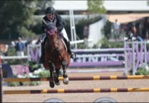 Rodrigo Lambre lleva dos en el CSI4* Guadalajara.