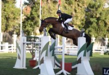 Shane Breen se quedó con su propia Copa Team Z7 en Al Shira’aa.